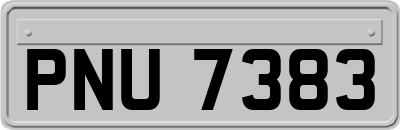 PNU7383