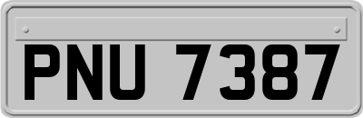 PNU7387