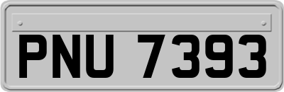 PNU7393