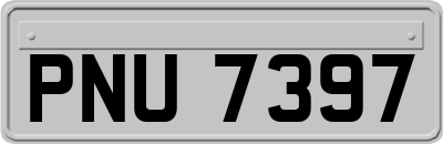 PNU7397
