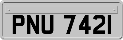 PNU7421
