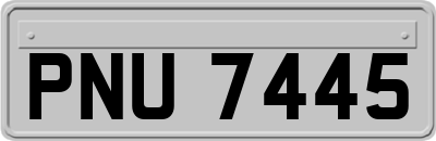 PNU7445