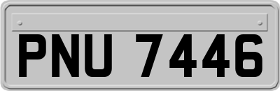 PNU7446