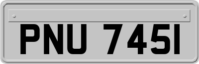 PNU7451