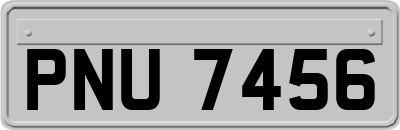 PNU7456
