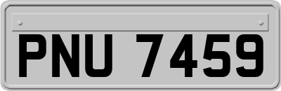 PNU7459