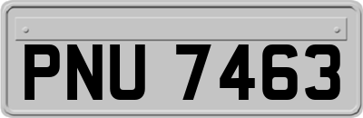 PNU7463