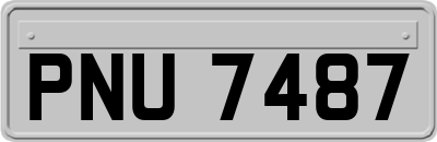 PNU7487