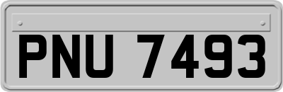 PNU7493