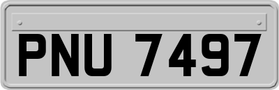 PNU7497