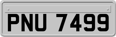 PNU7499