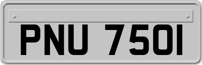 PNU7501