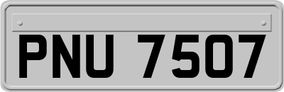 PNU7507