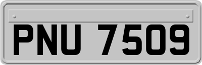 PNU7509