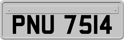 PNU7514