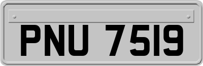 PNU7519