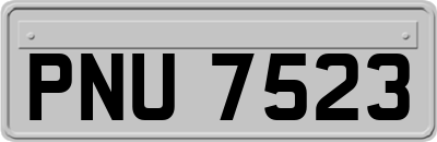 PNU7523