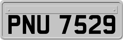 PNU7529