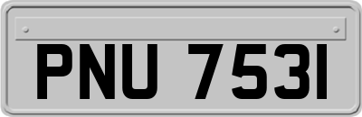 PNU7531