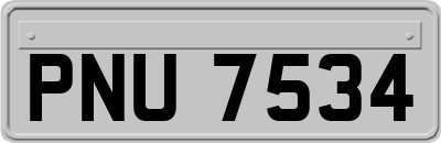 PNU7534