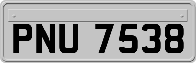 PNU7538