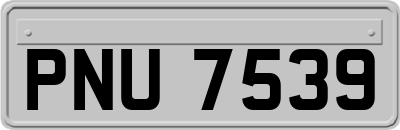 PNU7539