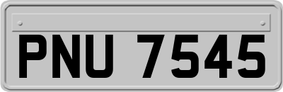 PNU7545