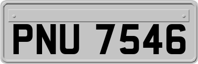 PNU7546