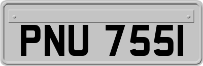PNU7551