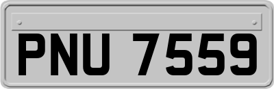 PNU7559
