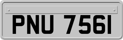PNU7561