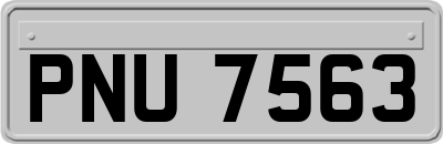 PNU7563