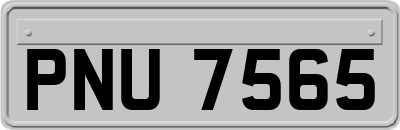 PNU7565