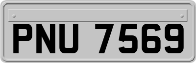 PNU7569