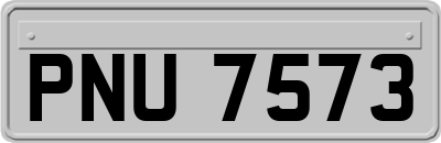 PNU7573
