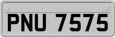 PNU7575