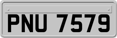 PNU7579