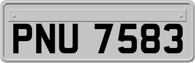 PNU7583