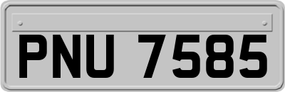 PNU7585