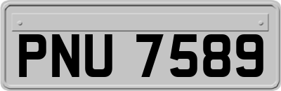 PNU7589