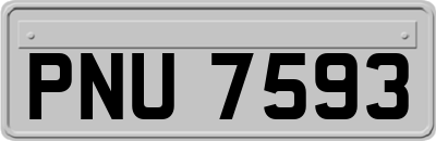 PNU7593