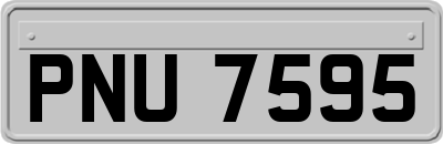 PNU7595
