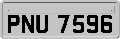 PNU7596