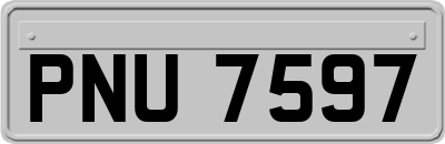 PNU7597
