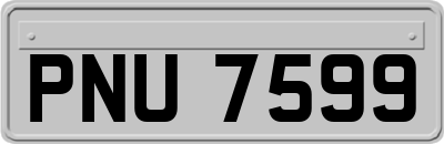 PNU7599