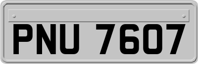 PNU7607