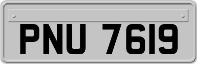 PNU7619