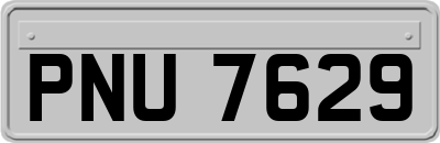 PNU7629