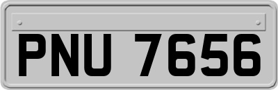 PNU7656