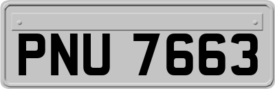 PNU7663